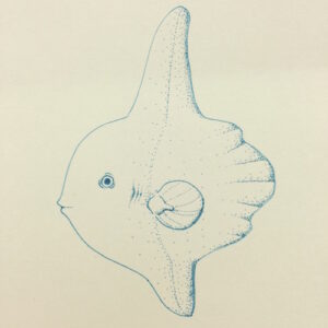  池田光雲 