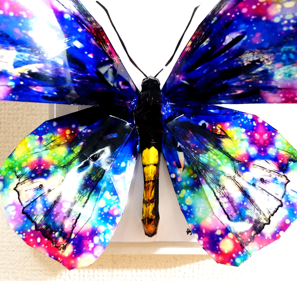 蝶の標本ペーパークラフトA3サイズ完成品