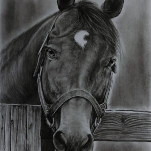 競馬 馬 競走馬 モノクロ 名馬 リアル アート インテリア絵画の通販 販売サイト Thisisgallery ディスイズギャラリー