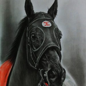馬 競走馬 写実 モノクロ 競馬 イラスト アート インテリア絵画の通販 販売サイト Thisisgallery ディスイズギャラリー