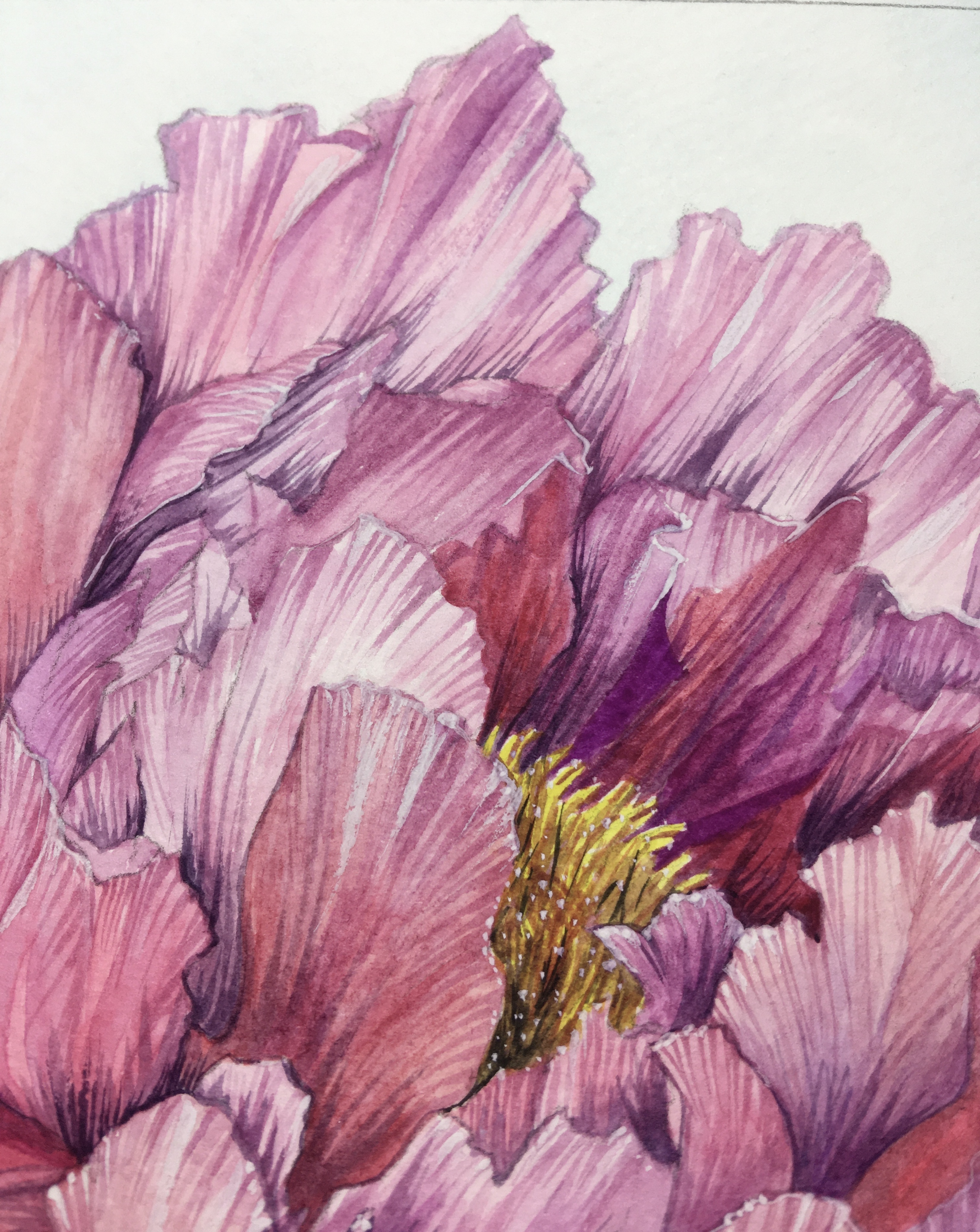 ピオニーの花 | アート・インテリア絵画の通販・販売サイト 