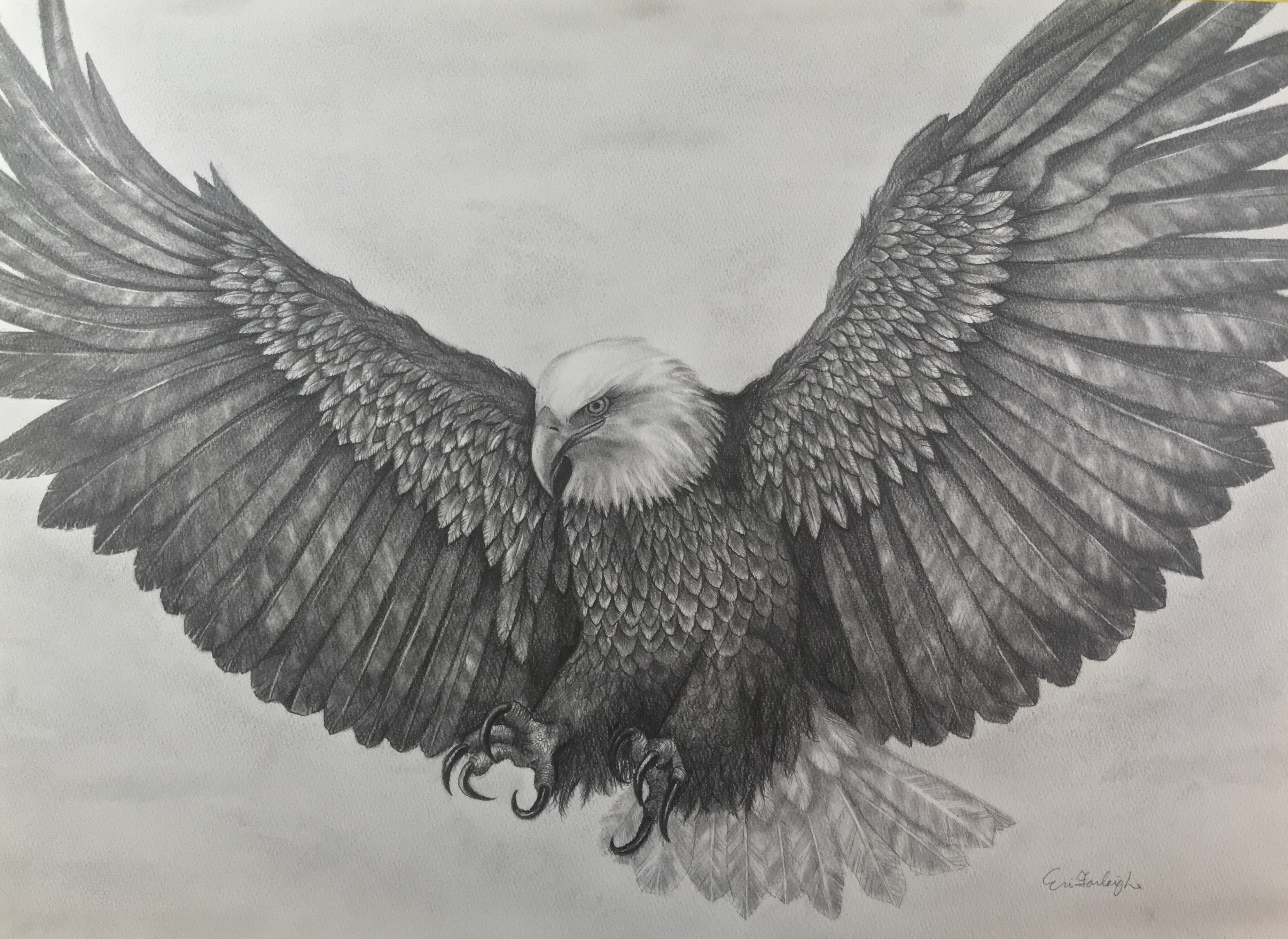 Flying eagle | アート・インテリア絵画の通販・販売サイト