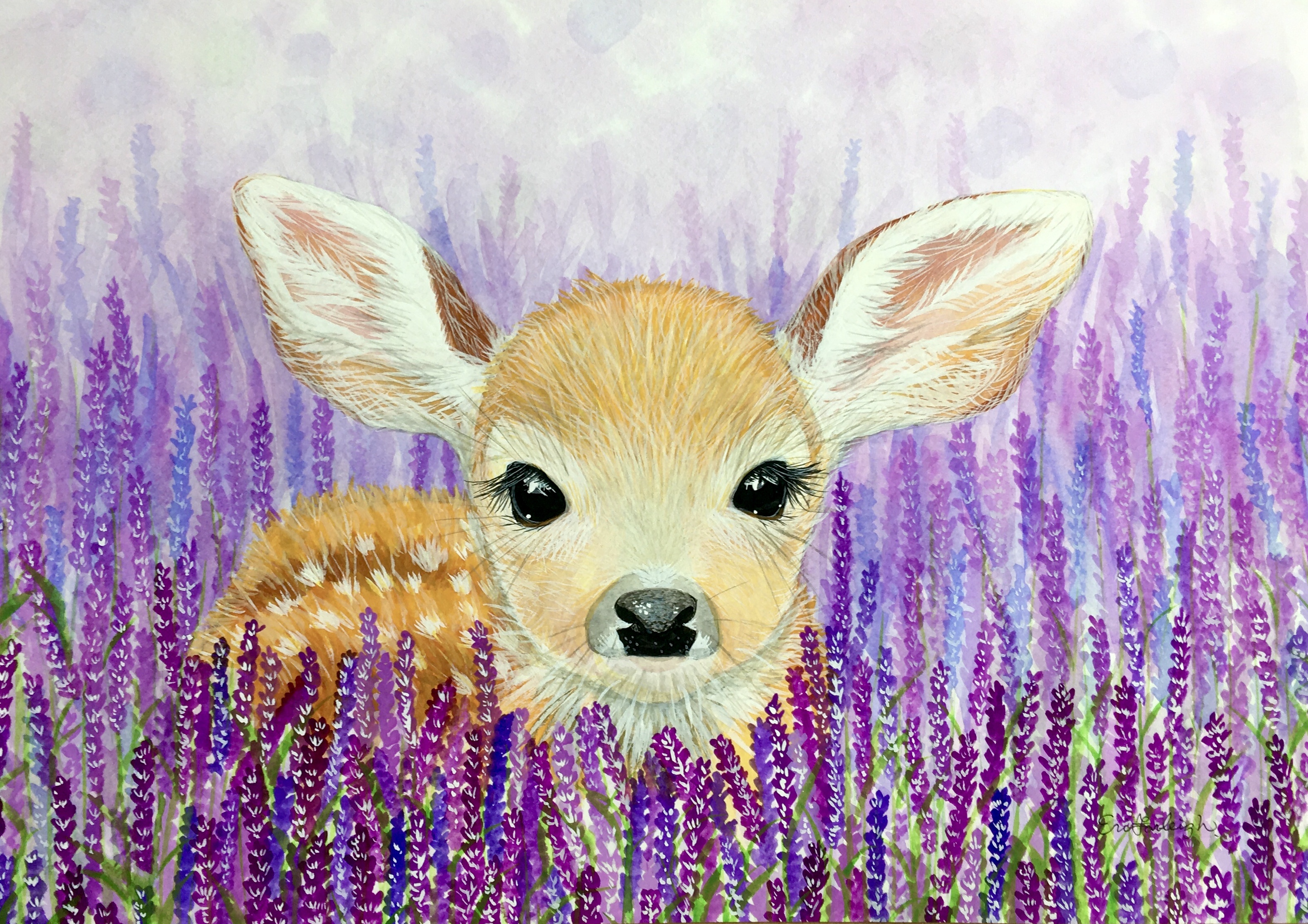 ラベンダー畑で休む子鹿 | インテリア絵画 アートの専門通販