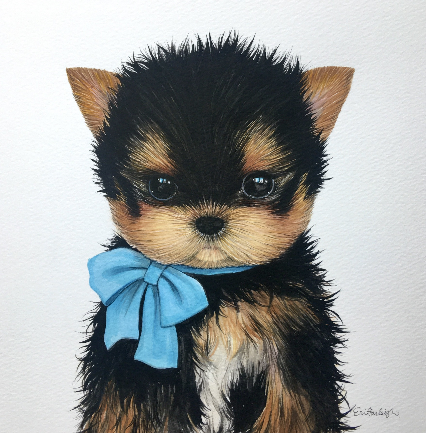 ヨークシャテリアの子犬 アート インテリア絵画の通販 販売サイト Thisisgallery ディスイズギャラリー