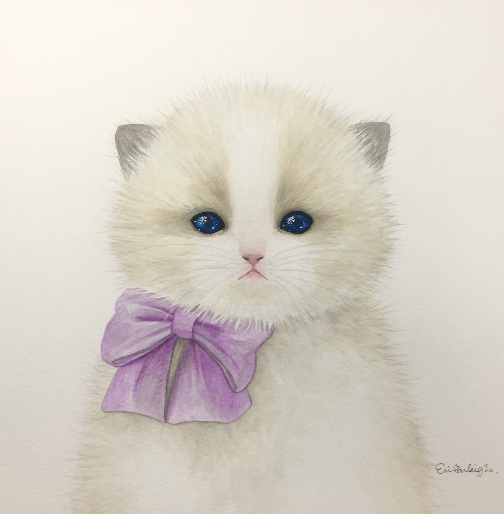 ラグドールの子猫 | インテリア絵画 アートの専門通販 thisisgallery