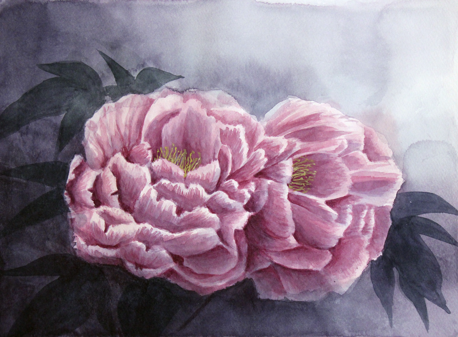 牡丹の花 アート インテリア絵画の通販 販売サイト Thisisgallery ディスイズギャラリー