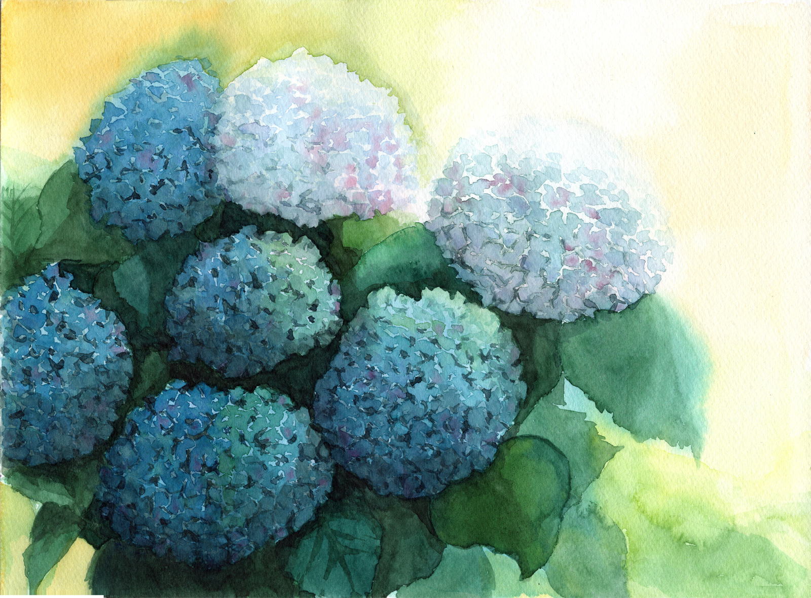 紫陽花の季節 | インテリア絵画 アートの専門通販 thisisgallery 
