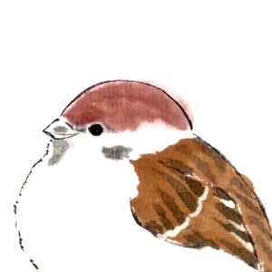 画家 nana 