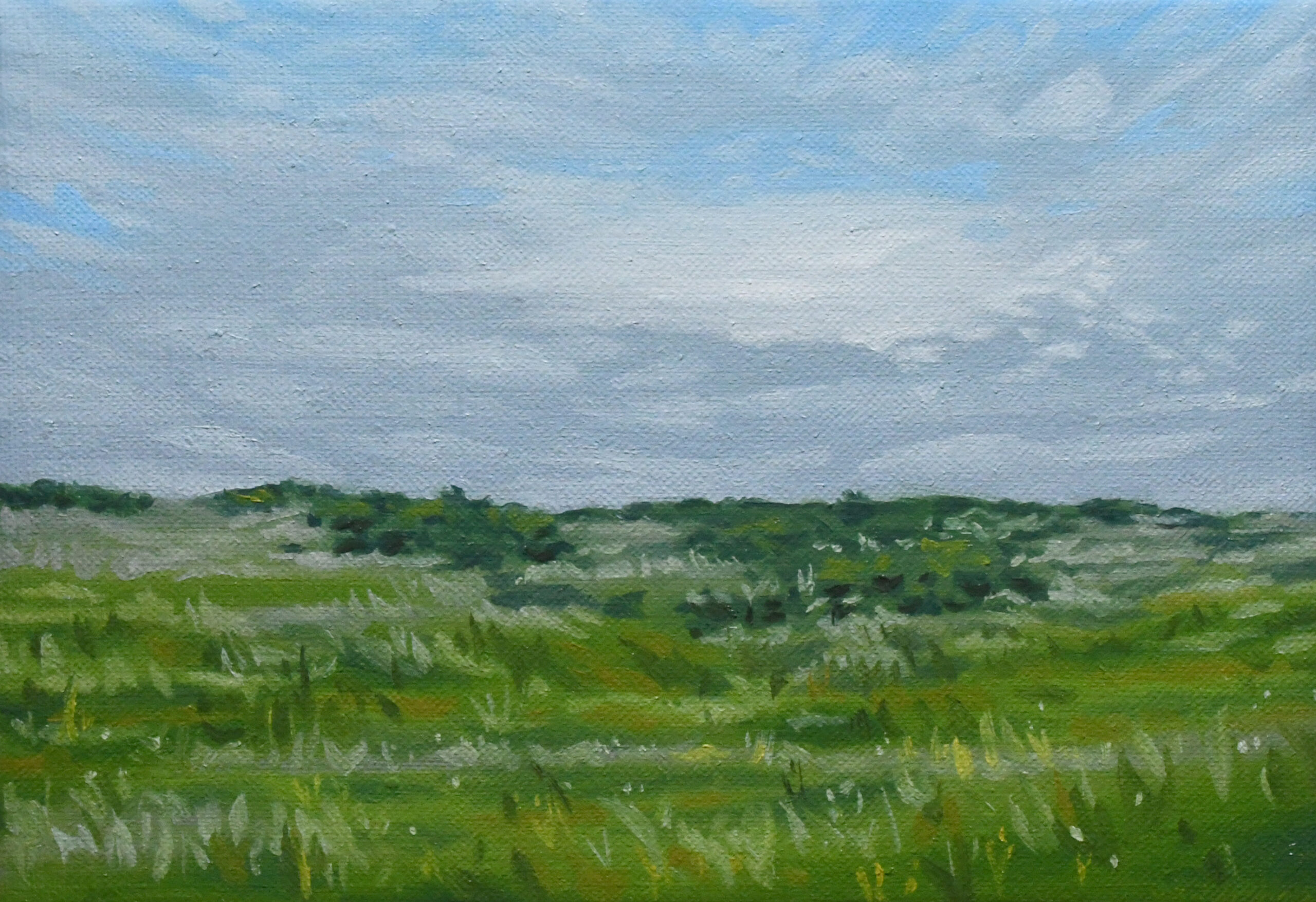 草原の風景 | インテリア絵画 アートの専門通販 thisisgallery 