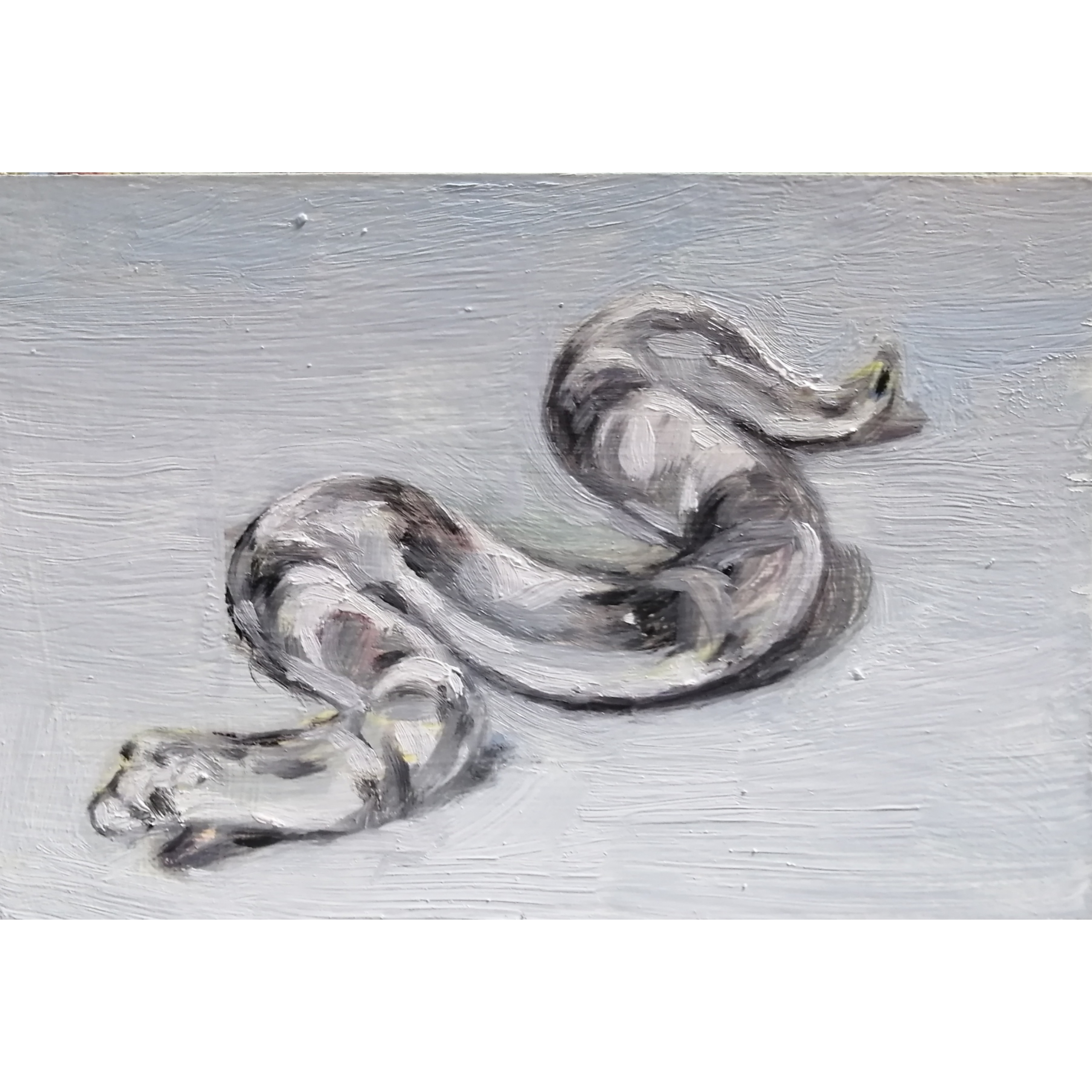 ガラス細工の蛇 | インテリア絵画 アートの専門通販 thisisgallery