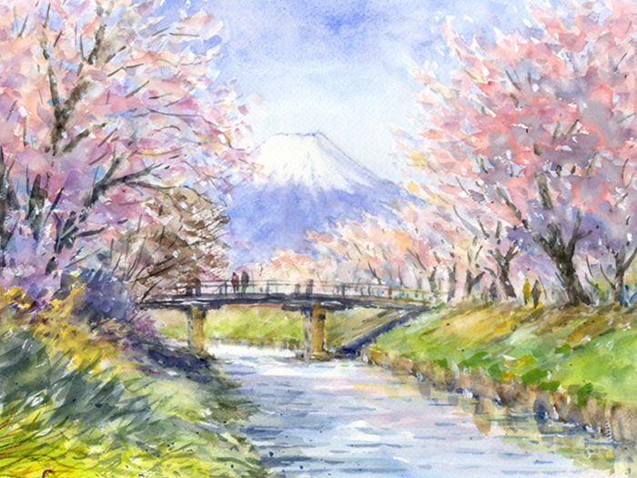 受注制作します 水彩画原画 忍野村の富士山と桜 ＃546 | アート 