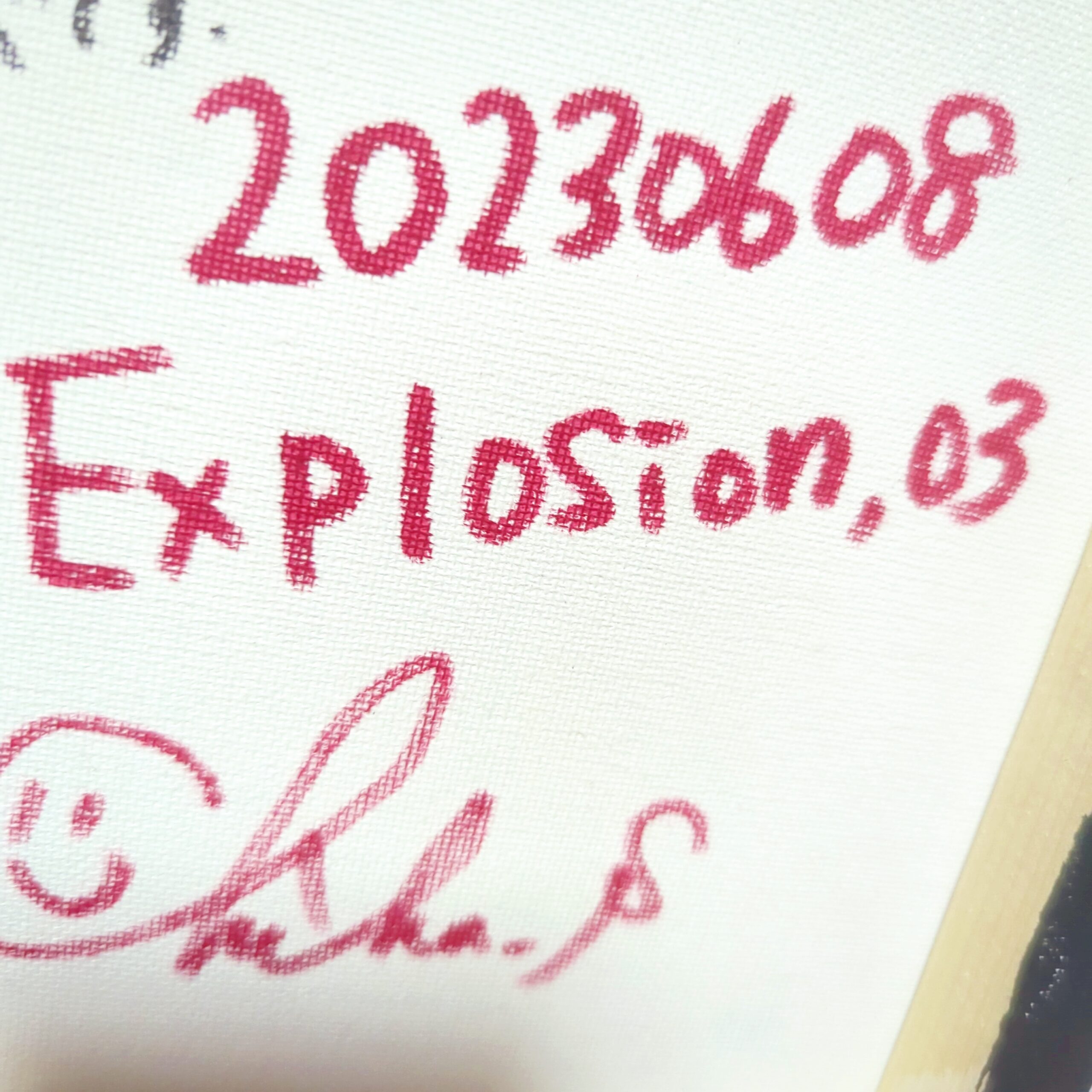 選べる配送時期 【＊2023年6月新作＊】Explosion,03 現代アート 女の子