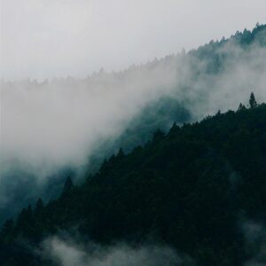フォトグラファー XiUI 現在学生です。