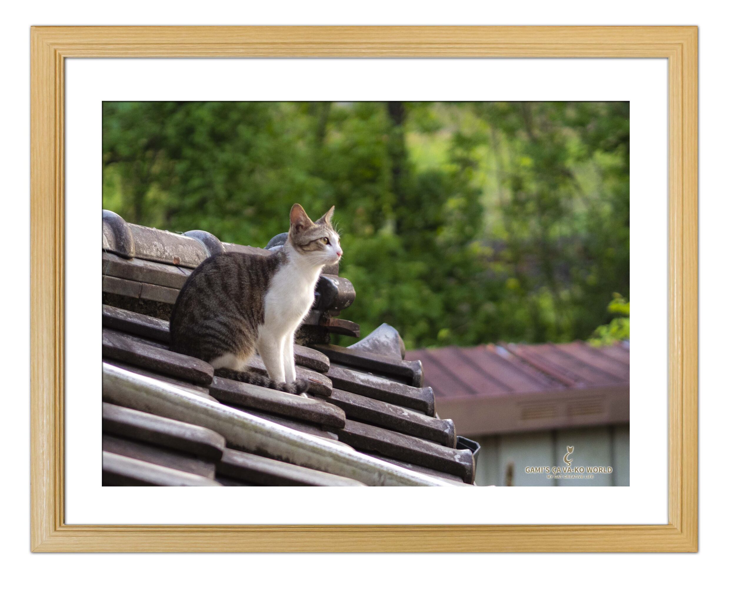 エンタメ/ホビーアクリル画　屋根の上の猫　Ａ３