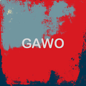 アーティスト gawo 