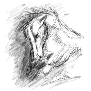 マルチアーティスト Ishow 