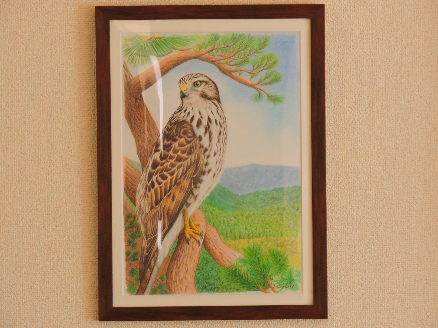絵画 のおすすめ作品・人気作家 鷹ノスリ色鉛筆 タカ見の見物 インテリア絵画 アート