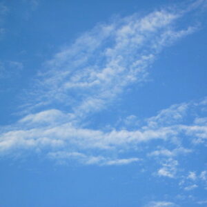 アーティスト ありあんね 1981年　女子美術大学卒業