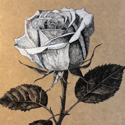 ペン画 ドローイングのおすすめ作品・人気作家 薔薇，花 薔薇 インテリア絵画 アート