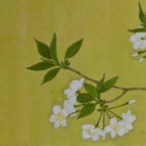 画家 K和可 2019年京都造形芸術大学（京都芸術大学）通信課程卒業