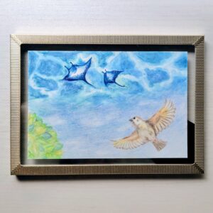 水彩画 のおすすめ作品・人気作家 夏，海，空，マンタ，すずめ，水彩，色鉛筆 【はがきサイズ原画】空をとぶ者 インテリア絵画 アート