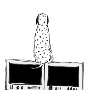 アーティスト Kankakusiki 