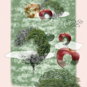 絵画 のおすすめ作品・人気作家 林檎自然 赤い林檎 インテリア絵画 アート