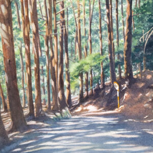 水彩画 のおすすめ作品・人気作家 木漏れ日 水彩画 ガッシュ 林道 風景画 西伊豆戸田の林道 インテリア絵画 アート