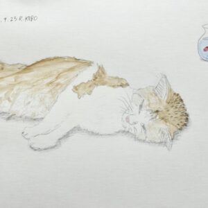 水彩画 のおすすめ作品・人気作家 動物 猫 シンプル 猫と金魚 インテリア絵画 アート