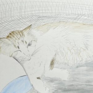 水彩画 のおすすめ作品・人気作家 猫 デッサン 枕と猫 インテリア絵画 アート