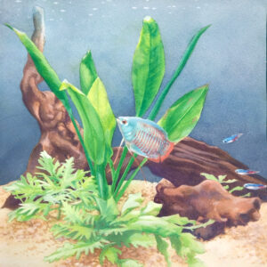 水彩画 のおすすめ作品・人気作家 動物 水彩画 魚 アクアリウム トロピカル 水槽 熱帯魚 ドワーフグラミー インテリア絵画 アート