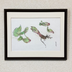 絵画 のおすすめ作品・人気作家 ふきのとう スケッチ 墨絵 淡彩 スケッチ｜ふきのとう インテリア絵画 アート