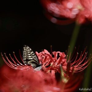 その他  此岸の妖 インテリア絵画 アート