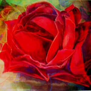 版画 のおすすめ作品・人気作家 花 バラ 黒薔薇1/5(植191) インテリア絵画 アート