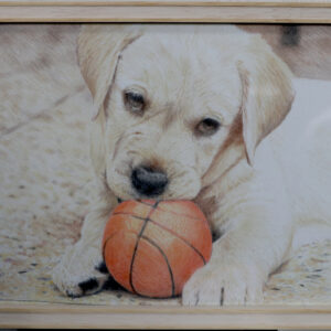 手描きイラスト のおすすめ作品・人気作家 子犬色鉛筆 子犬01 インテリア絵画 アート