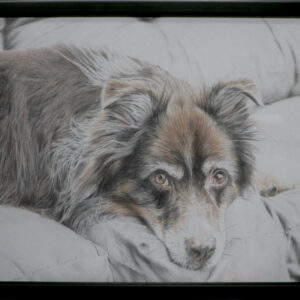 手描きイラスト のおすすめ作品・人気作家 犬色鉛筆 犬01 インテリア絵画 アート