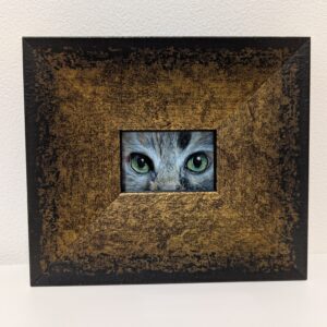 アクリル画 のおすすめ作品・人気作家 動物 猫 アクリル画 ミニ額 動物画 視線 インテリア絵画 アート