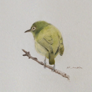 水彩画 のおすすめ作品・人気作家 動物 水彩画 鳥 色鉛筆画 tiny bird インテリア絵画 アート