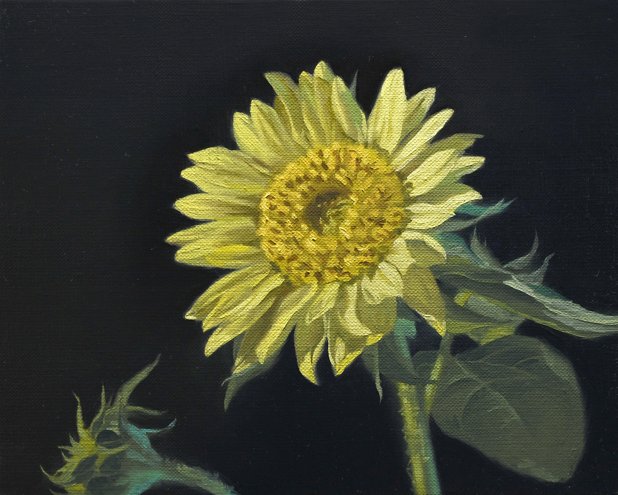 油絵 のおすすめ作品・人気作家 花 黄色 写実 夏 静物画 ヒマワリ インテリア絵画 アート