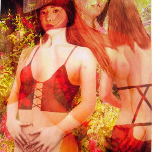 版画 のおすすめ作品・人気作家 人物 女性 花 ヌード バラ バラの楽園1/5(植203) インテリア絵画 アート