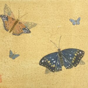 日本画 のおすすめ作品・人気作家 昆虫 虫 虫画 虫絵 蝶 舞う蝶 インテリア絵画 アート