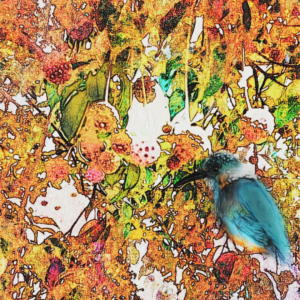 デジタルイラスト のおすすめ作品・人気作家 小鳥イラスト カワセミ インテリア絵画 アート