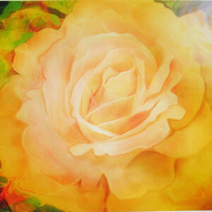 版画 のおすすめ作品・人気作家 花 黄色 バラ 黄金色のバラ1/5(植221) インテリア絵画 アート