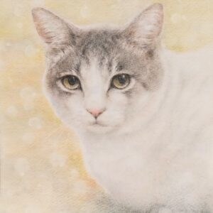 手描きイラスト のおすすめ作品・人気作家 猫　イラスト 好きな場所 インテリア絵画 アート