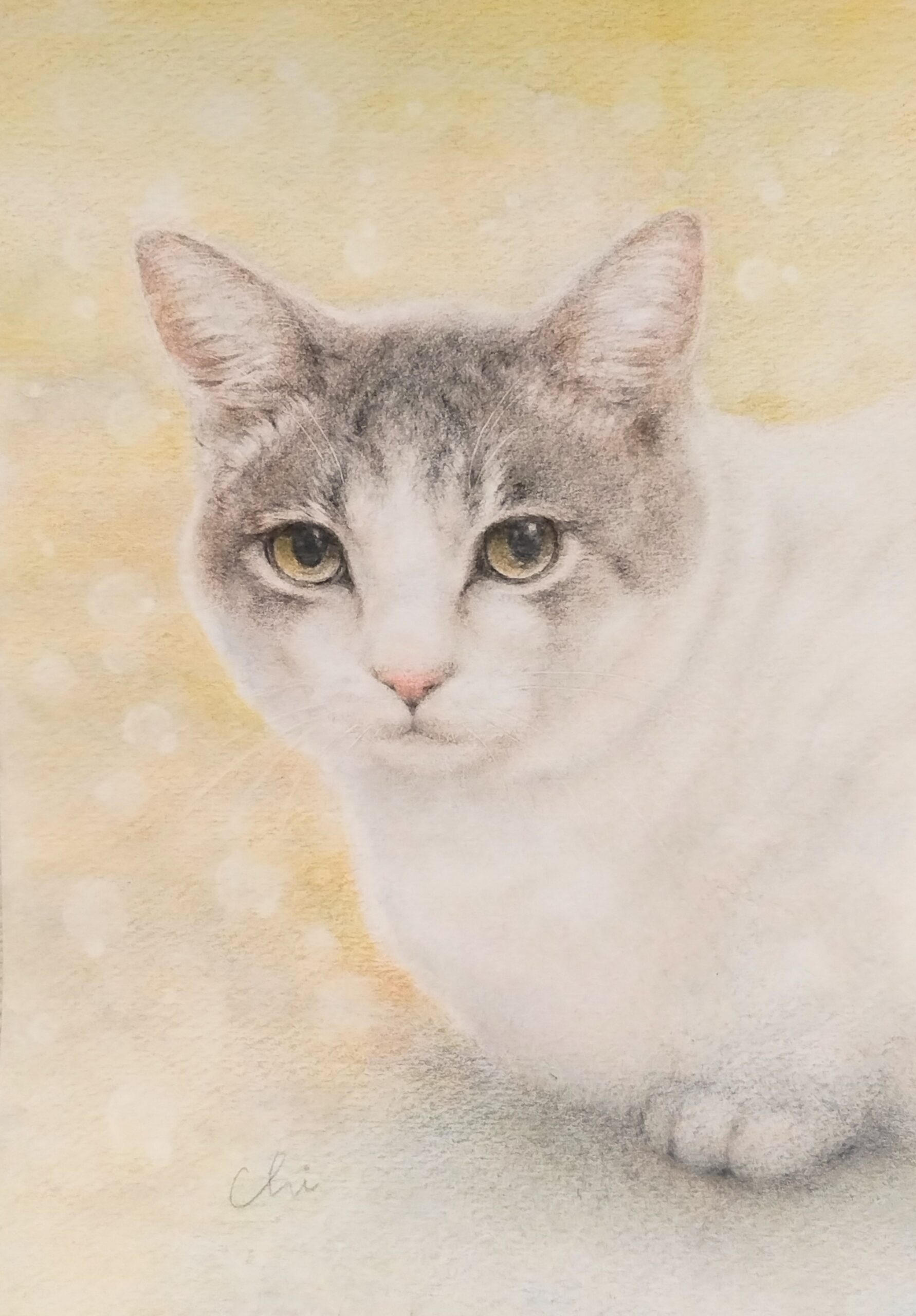 手描きイラスト のおすすめ作品・人気作家 猫　イラスト 好きな場所 インテリア絵画 アート