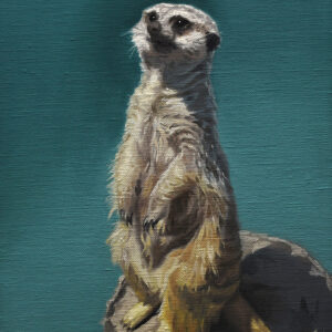 油絵 のおすすめ作品・人気作家 動物 写実 ミーアキャット インテリア絵画 アート