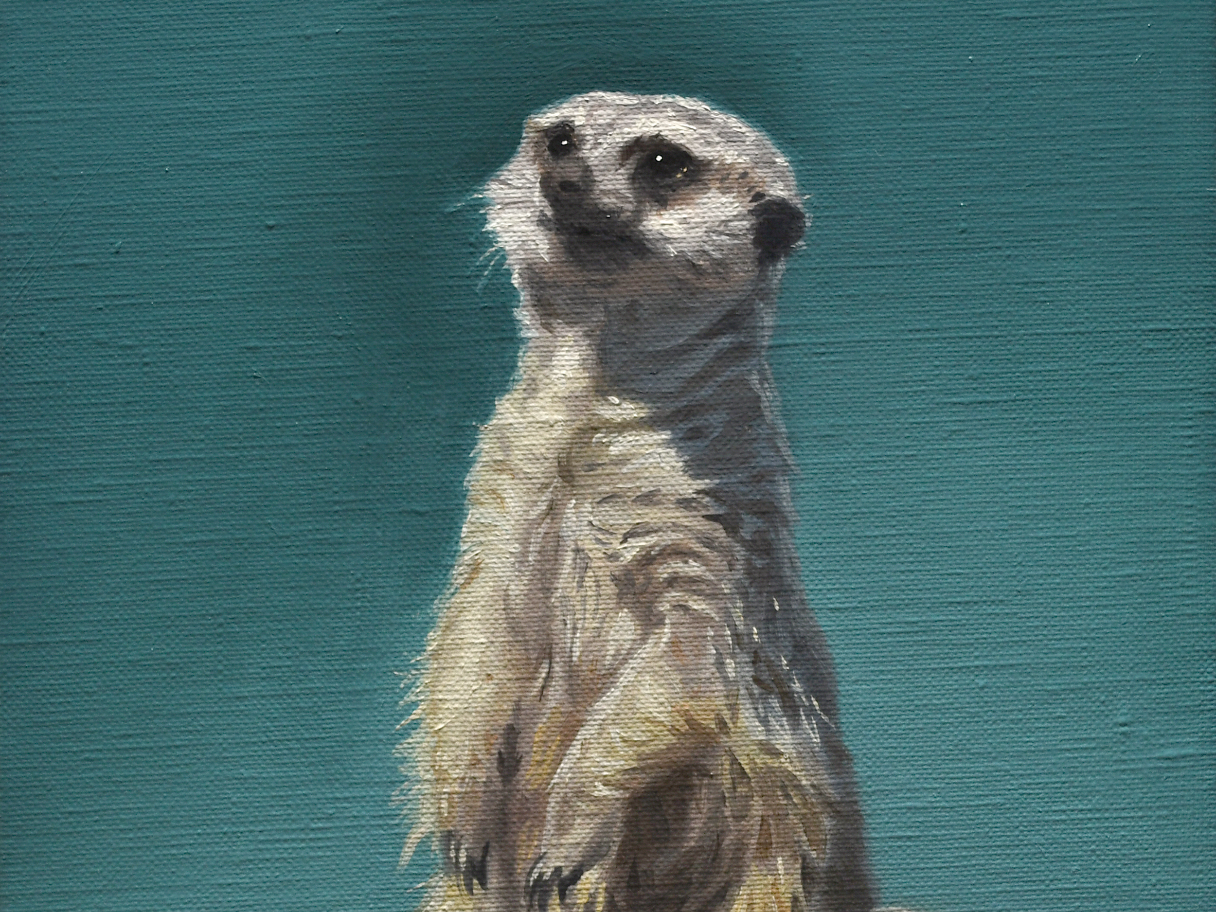 みーやきゃっと ミーアキャット | 大谷尚哉 ｜インテリア絵画 アートの専門通販