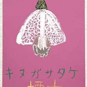 手描きイラスト のおすすめ作品・人気作家 キヌガサタケ冬虫夏草キノコ標本アクリルイラスト絵画手描き キヌガサタケ インテリア絵画 アート