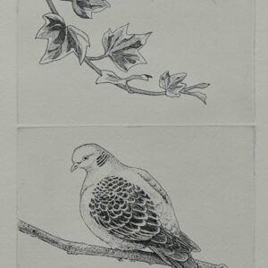 版画 のおすすめ作品・人気作家 植物 鳥 銅版画 鳩と蔦 インテリア絵画 アート
