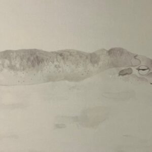 日本画 のおすすめ作品・人気作家 カバ 墨 墨絵 日本画 天国 インテリア絵画 アート